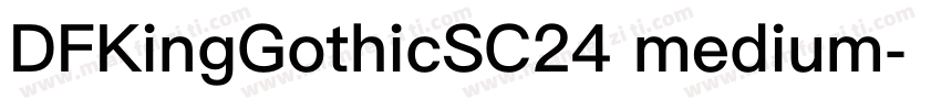 DFKingGothicSC24 medium字体转换
